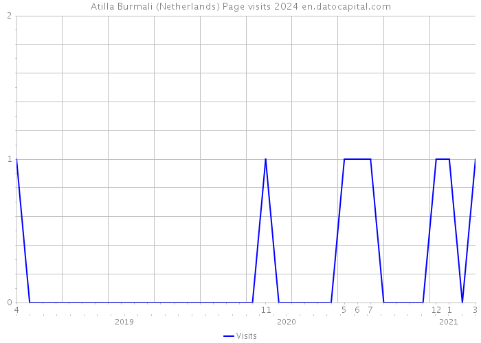 Atilla Burmali (Netherlands) Page visits 2024 