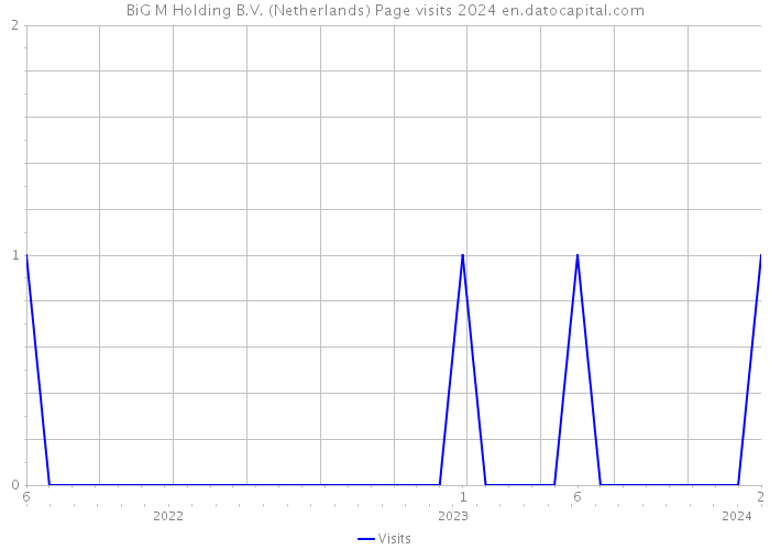 BiG M Holding B.V. (Netherlands) Page visits 2024 