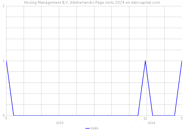 Hoving Management B.V. (Netherlands) Page visits 2024 
