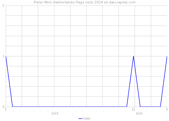Pieter Wols (Netherlands) Page visits 2024 