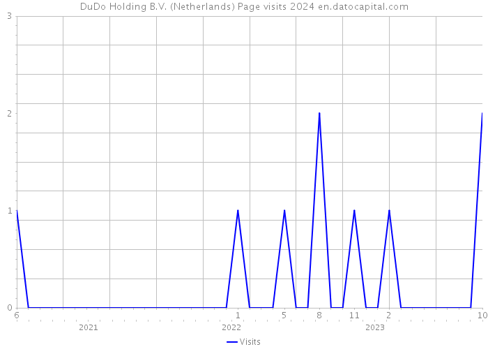 DuDo Holding B.V. (Netherlands) Page visits 2024 