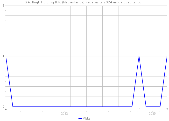 G.A. Buijk Holding B.V. (Netherlands) Page visits 2024 