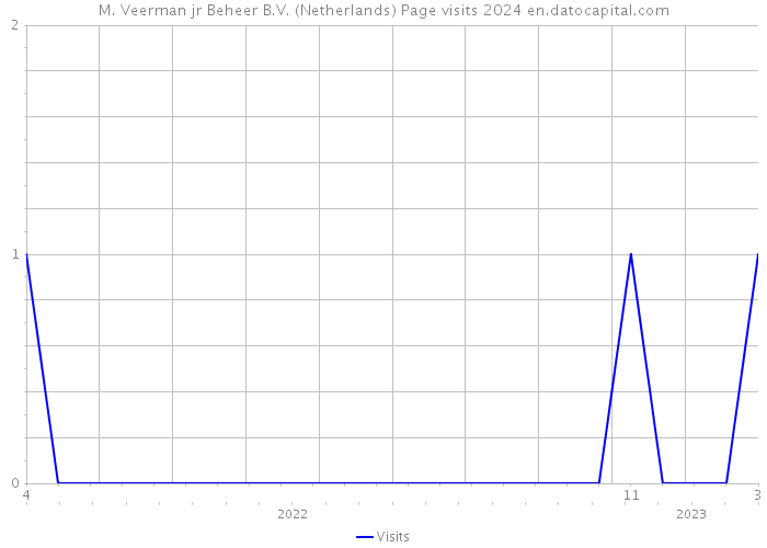 M. Veerman jr Beheer B.V. (Netherlands) Page visits 2024 