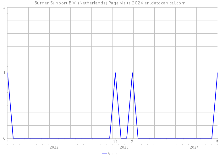 Burger Support B.V. (Netherlands) Page visits 2024 