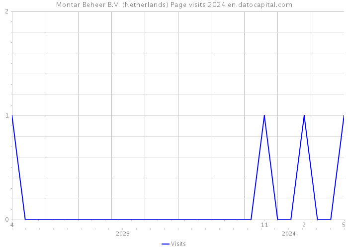 Montar Beheer B.V. (Netherlands) Page visits 2024 