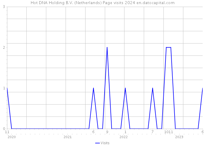 Hot DNA Holding B.V. (Netherlands) Page visits 2024 