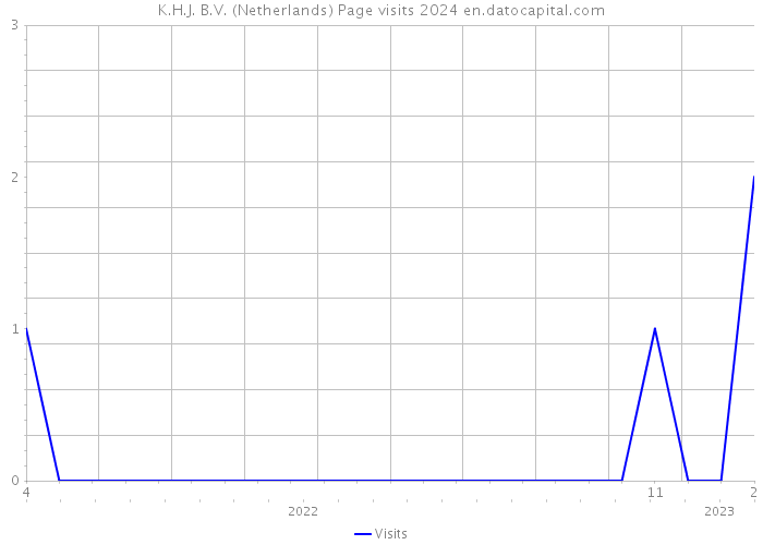 K.H.J. B.V. (Netherlands) Page visits 2024 