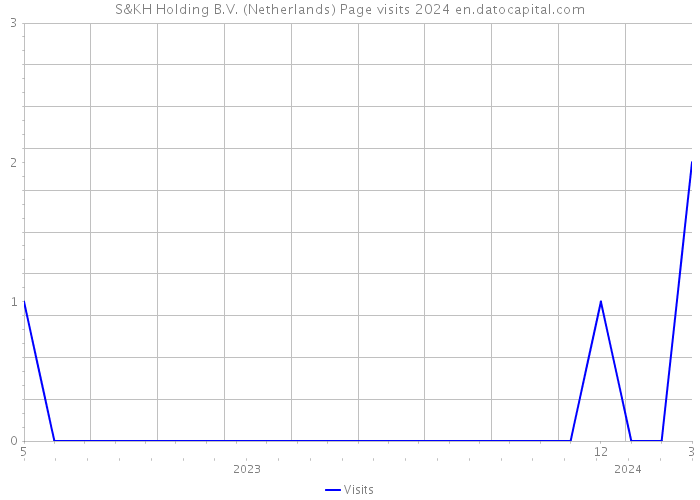 S&KH Holding B.V. (Netherlands) Page visits 2024 