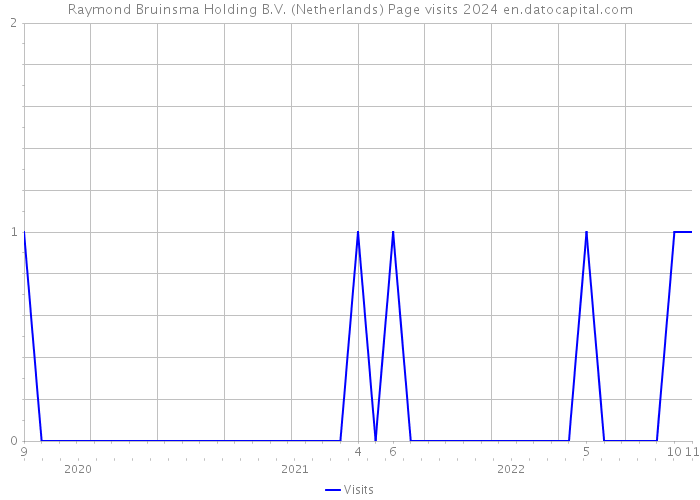 Raymond Bruinsma Holding B.V. (Netherlands) Page visits 2024 