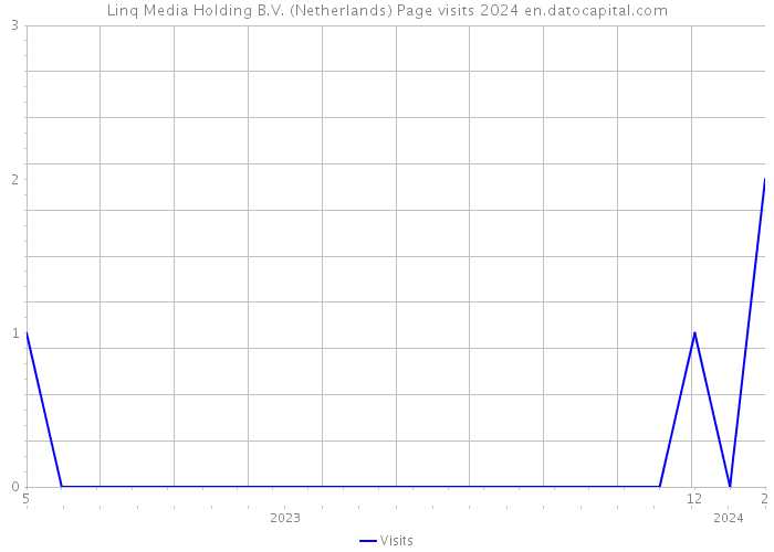Linq Media Holding B.V. (Netherlands) Page visits 2024 