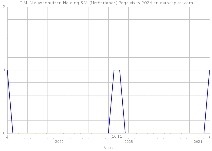 G.M. Nieuwenhuizen Holding B.V. (Netherlands) Page visits 2024 