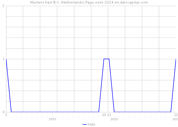 Mulders hart B.V. (Netherlands) Page visits 2024 