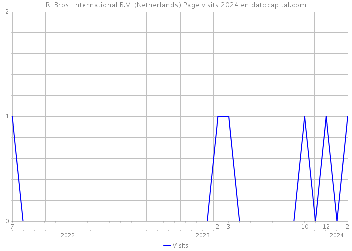 R. Bros. International B.V. (Netherlands) Page visits 2024 
