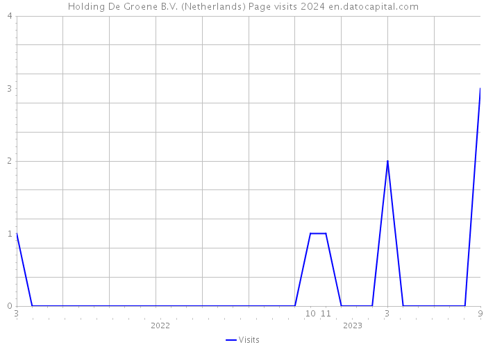 Holding De Groene B.V. (Netherlands) Page visits 2024 