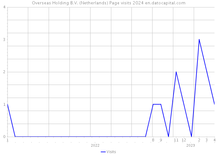 Overseas Holding B.V. (Netherlands) Page visits 2024 