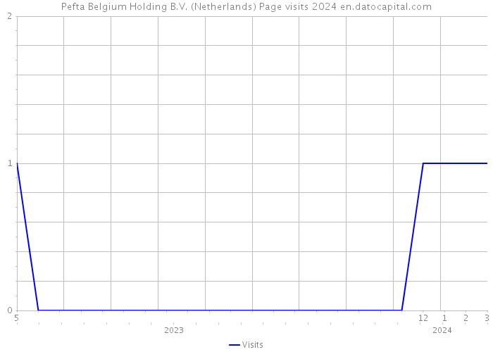 Pefta Belgium Holding B.V. (Netherlands) Page visits 2024 