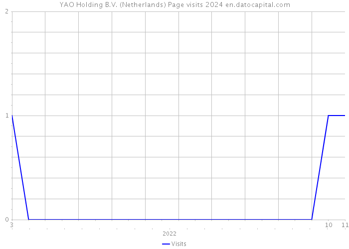 YAO Holding B.V. (Netherlands) Page visits 2024 