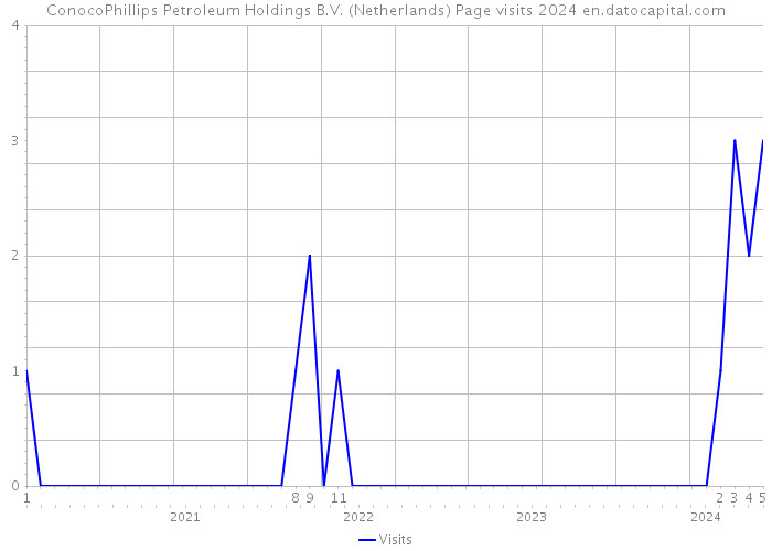 ConocoPhillips Petroleum Holdings B.V. (Netherlands) Page visits 2024 