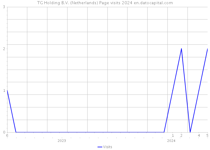TG Holding B.V. (Netherlands) Page visits 2024 