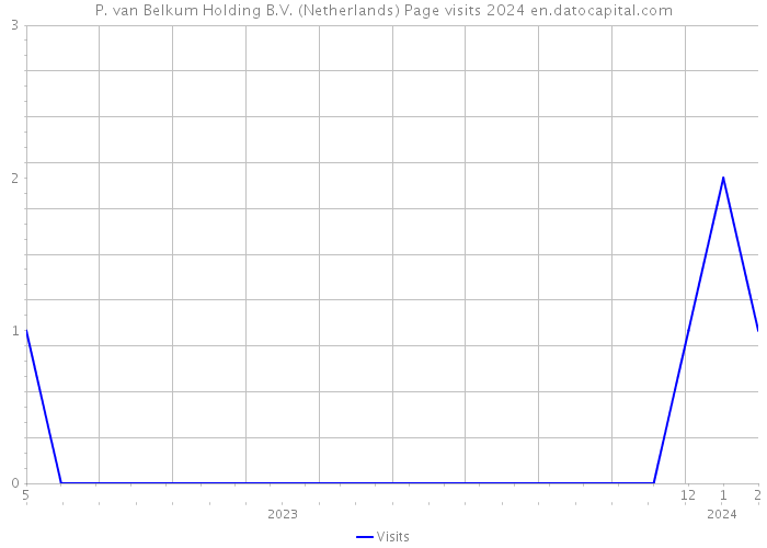 P. van Belkum Holding B.V. (Netherlands) Page visits 2024 