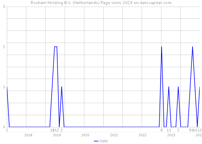 Roskam Holding B.V. (Netherlands) Page visits 2024 