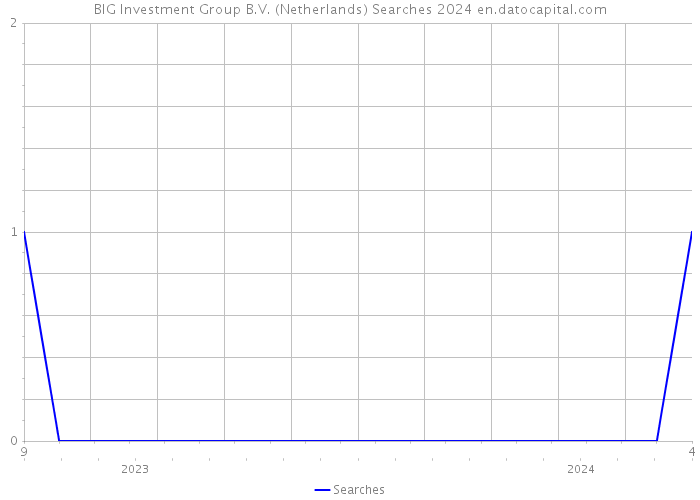 BIG Investment Group B.V. (Netherlands) Searches 2024 