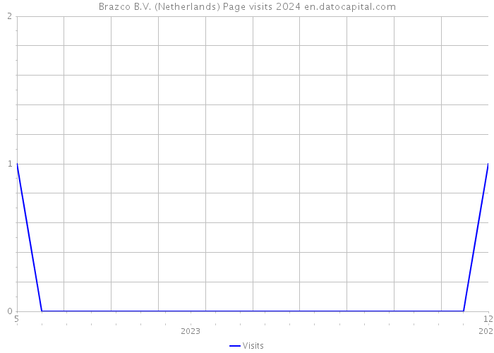 Brazco B.V. (Netherlands) Page visits 2024 