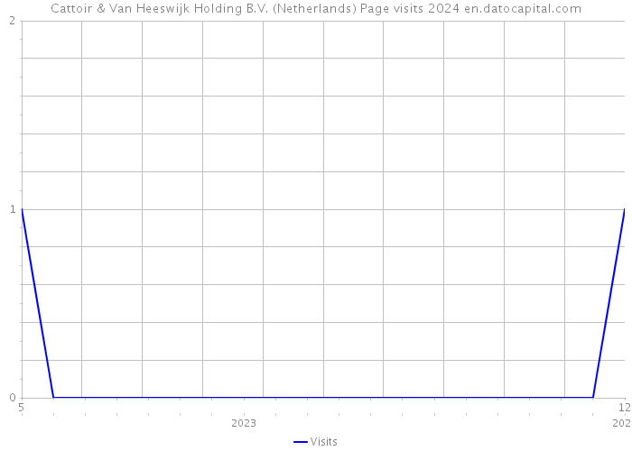 Cattoir & Van Heeswijk Holding B.V. (Netherlands) Page visits 2024 