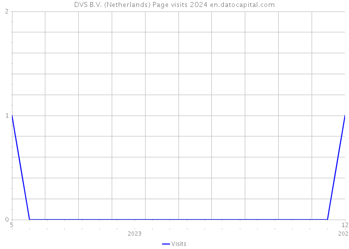DVS B.V. (Netherlands) Page visits 2024 