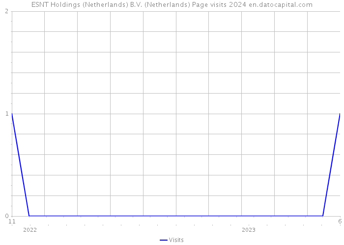 ESNT Holdings (Netherlands) B.V. (Netherlands) Page visits 2024 