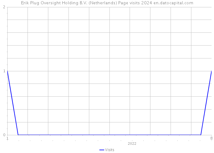 Erik Plug Oversight Holding B.V. (Netherlands) Page visits 2024 