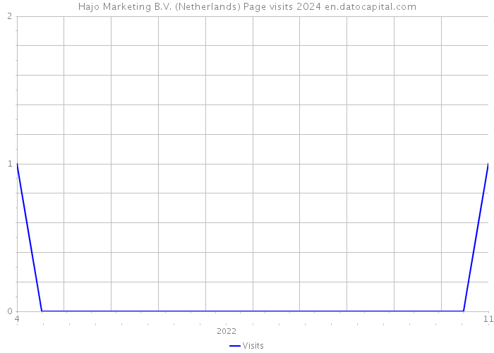 Hajo Marketing B.V. (Netherlands) Page visits 2024 