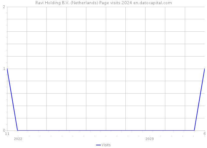 Ravi Holding B.V. (Netherlands) Page visits 2024 