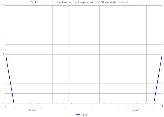 S.V. Holding B.V. (Netherlands) Page visits 2024 