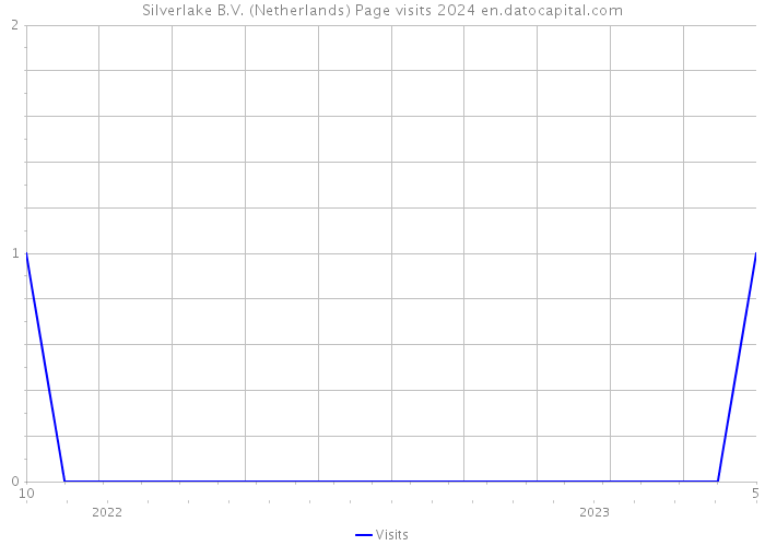 Silverlake B.V. (Netherlands) Page visits 2024 