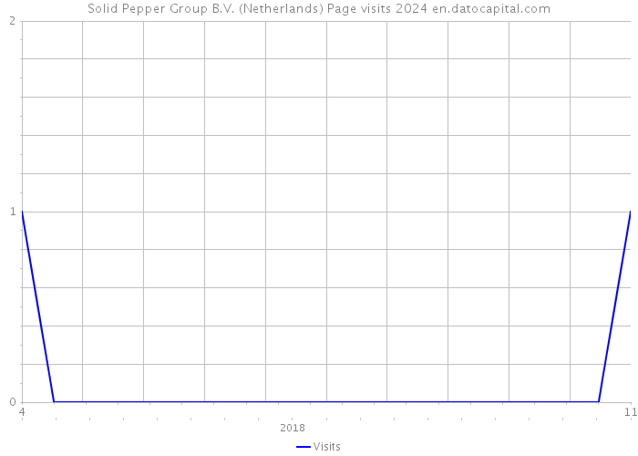 Solid Pepper Group B.V. (Netherlands) Page visits 2024 