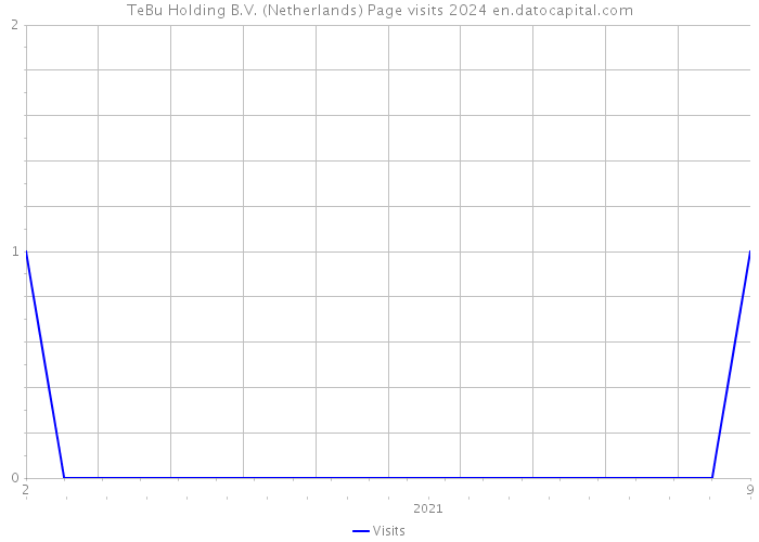 TeBu Holding B.V. (Netherlands) Page visits 2024 
