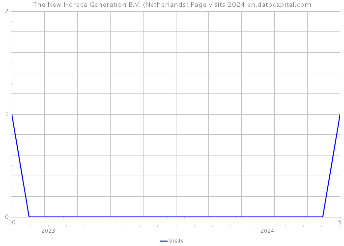 The New Horeca Generation B.V. (Netherlands) Page visits 2024 
