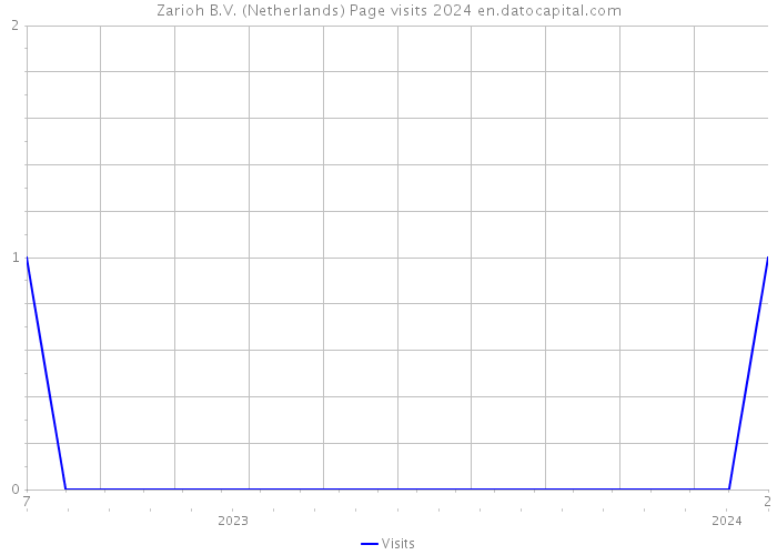Zarioh B.V. (Netherlands) Page visits 2024 
