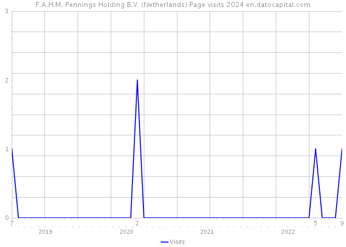 F.A.H.M. Pennings Holding B.V. (Netherlands) Page visits 2024 