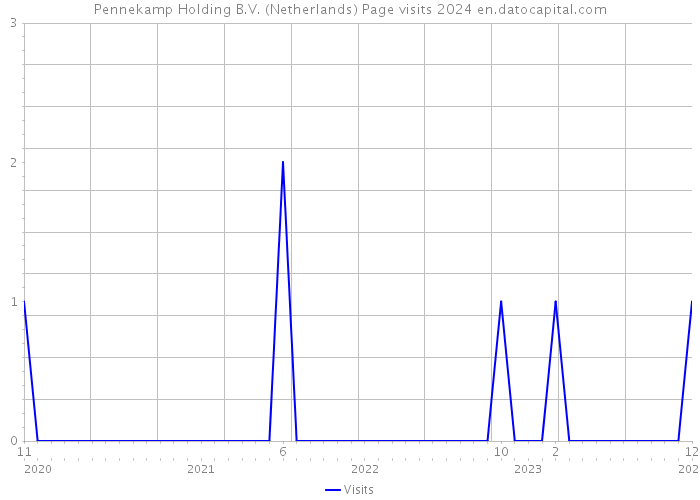 Pennekamp Holding B.V. (Netherlands) Page visits 2024 