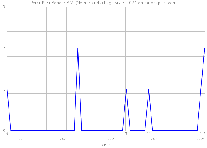 Peter Bust Beheer B.V. (Netherlands) Page visits 2024 