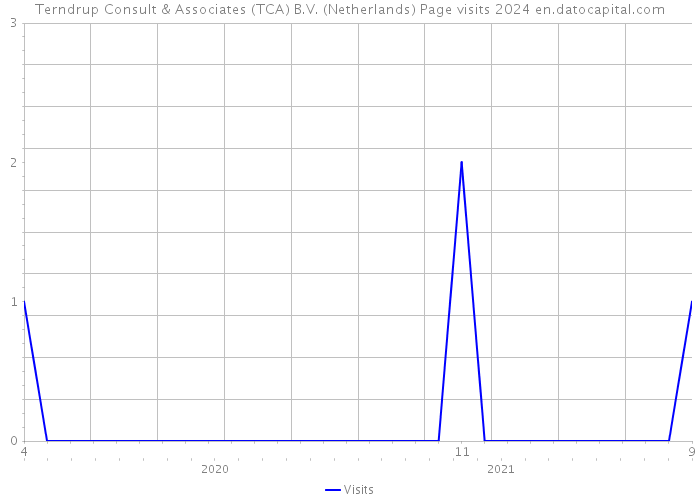 Terndrup Consult & Associates (TCA) B.V. (Netherlands) Page visits 2024 
