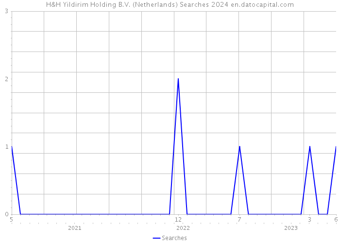 H&H Yildirim Holding B.V. (Netherlands) Searches 2024 