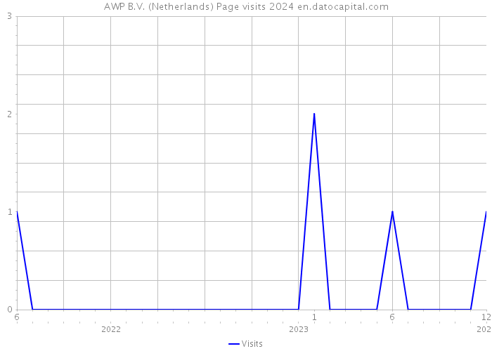 AWP B.V. (Netherlands) Page visits 2024 