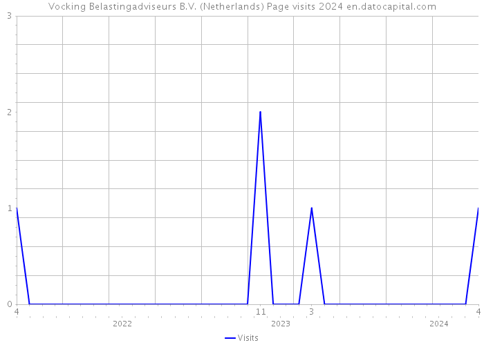 Vocking Belastingadviseurs B.V. (Netherlands) Page visits 2024 