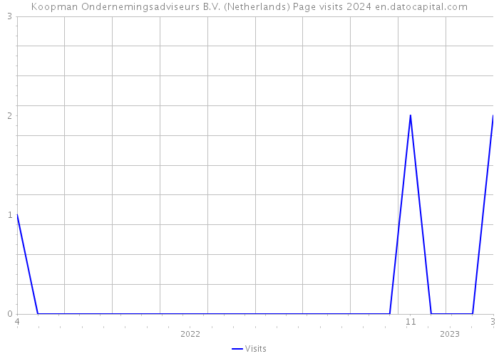 Koopman Ondernemingsadviseurs B.V. (Netherlands) Page visits 2024 