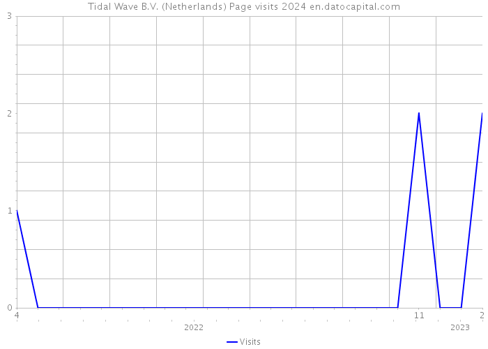 Tidal Wave B.V. (Netherlands) Page visits 2024 