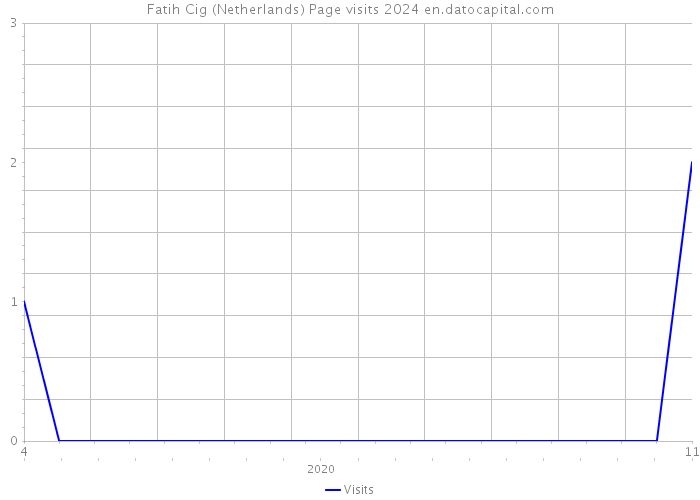 Fatih Cig (Netherlands) Page visits 2024 