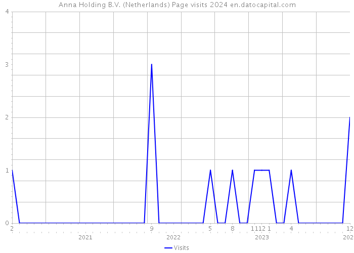 Anna Holding B.V. (Netherlands) Page visits 2024 